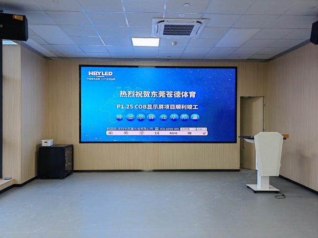 华邦瀛COB显示屏：点亮每一个精彩瞬间