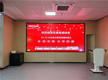 东莞仓德体育COB显示屏项目